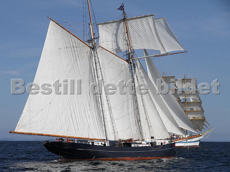 TSR2011_2 512.JPG